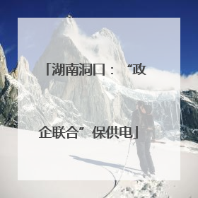 湖南洞口：“政企联合”保供电
