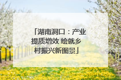 湖南洞口：产业提质增效 绘就乡村振兴新图景