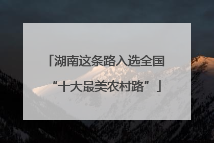 湖南这条路入选全国“十大最美农村路”