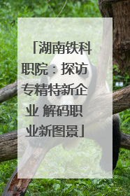湖南铁科职院：探访专精特新企业 解码职业新图景