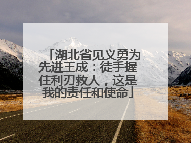 湖北省见义勇为先进王成：徒手握住利刃救人，这是我的责任和使命