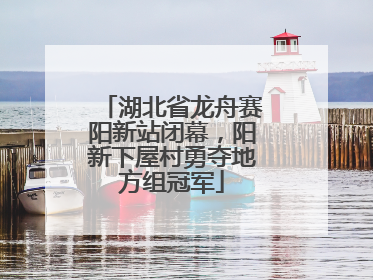 湖北省龙舟赛阳新站闭幕，阳新下屋村勇夺地方组冠军