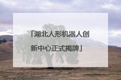 湖北人形机器人创新中心正式揭牌