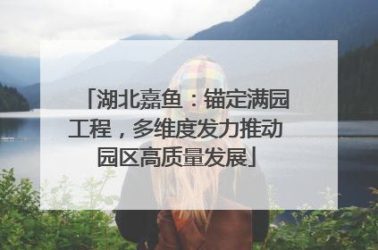 湖北嘉鱼：锚定满园工程，多维度发力推动园区高质量发展