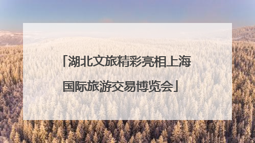 湖北文旅精彩亮相上海国际旅游交易博览会