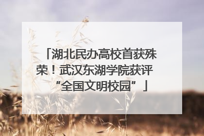 湖北民办高校首获殊荣！武汉东湖学院获评“全国文明校园”
