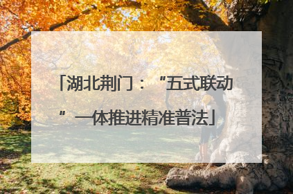 湖北荆门：“五式联动”一体推进精准普法