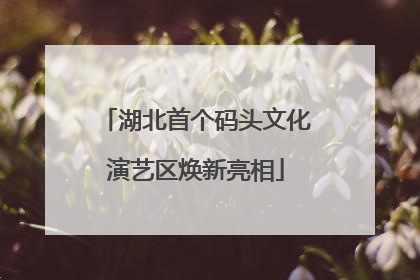 湖北首个码头文化演艺区焕新亮相