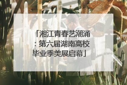 湘江青春艺潮涌：第六届湖南高校毕业季美展启幕