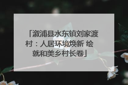 溆浦县水东镇刘家渡村：人居环境焕新 绘就和美乡村长卷