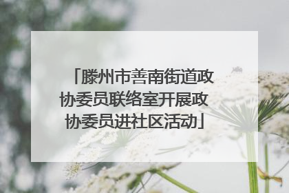 滕州市善南街道政协委员联络室开展政协委员进社区活动