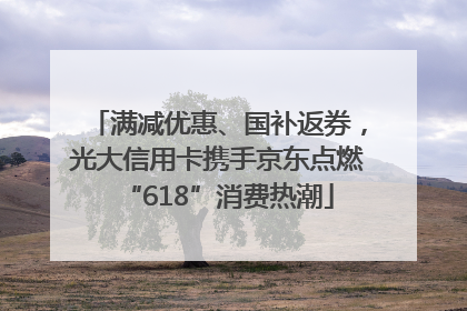 满减优惠、国补返券，光大信用卡携手京东点燃“618”消费热潮