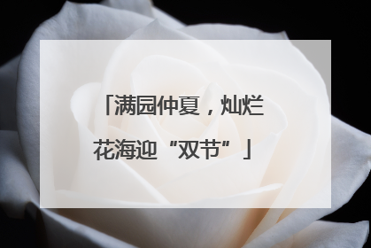 满园仲夏，灿烂花海迎“双节”