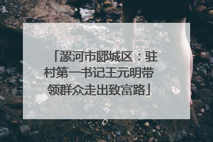 漯河市郾城区：驻村第一书记王元明带领群众走出致富路