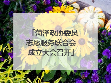 菏泽政协委员志愿服务联合会成立大会召开