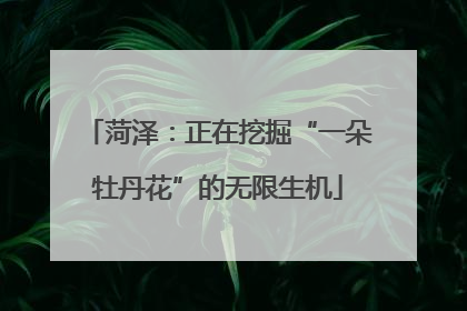 菏泽：正在挖掘“一朵牡丹花”的无限生机