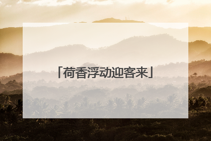 荷香浮动迎客来
