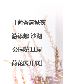 荷香满城夜游添趣 沙湖公园第11届荷花展开展