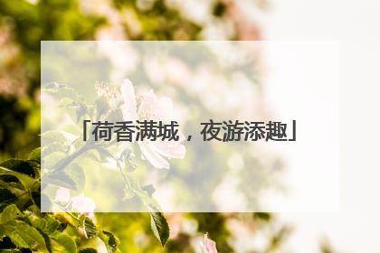 荷香满城，夜游添趣