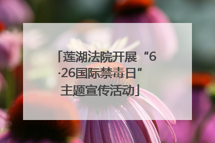 莲湖法院开展“6·26国际禁毒日”主题宣传活动