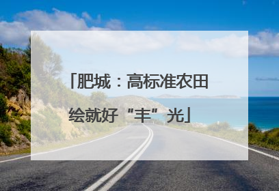 肥城：高标准农田绘就好“丰”光