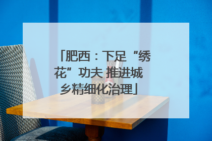 肥西：下足“绣花”功夫 推进城乡精细化治理