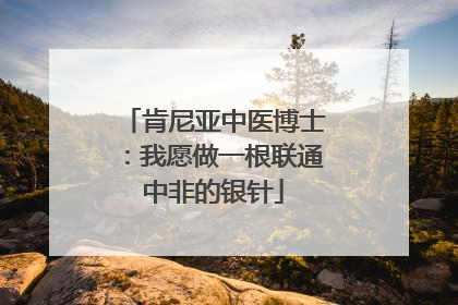 肯尼亚中医博士：我愿做一根联通中非的银针