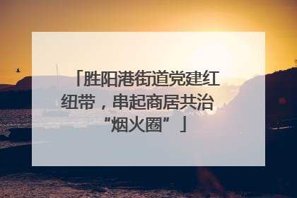 胜阳港街道党建红纽带，串起商居共治 “烟火圈”