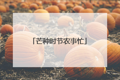 芒种时节农事忙