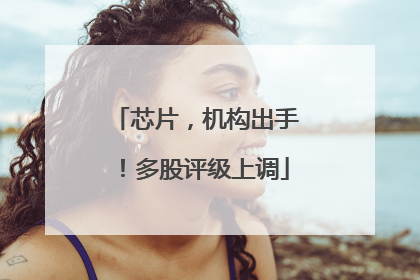 芯片，机构出手！多股评级上调