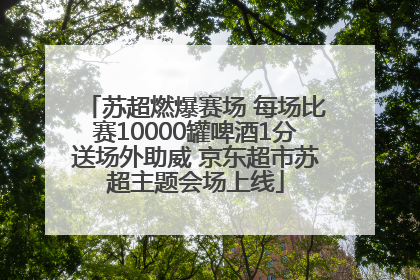 苏超燃爆赛场 每场比赛10000罐啤酒1分送场外助威 京东超市苏超主题会场上线