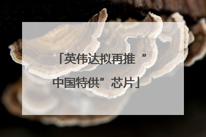 英伟达拟再推“中国特供”芯片
