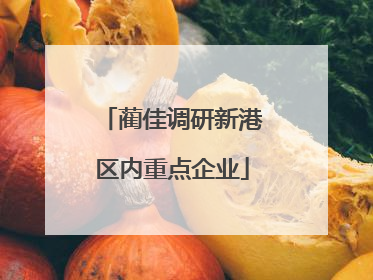 蔺佳调研新港区内重点企业
