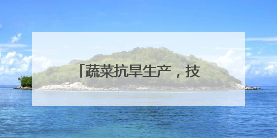 蔬菜抗旱生产，技术指导意见来了！