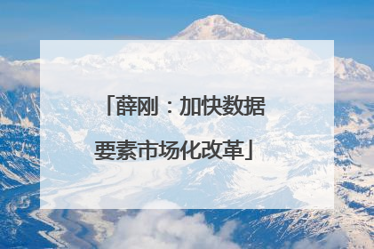 薛刚：加快数据要素市场化改革