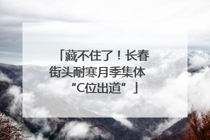 藏不住了！长春街头耐寒月季集体“C位出道”
