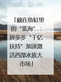 藏在鱼缸里的“蓝海”：拼多多“千亿扶持”加速激活西部水族大市场