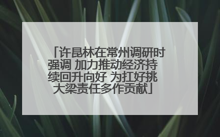 许昆林在常州调研时强调 加力推动经济持续回升向好 为扛好挑大梁责任多作贡献