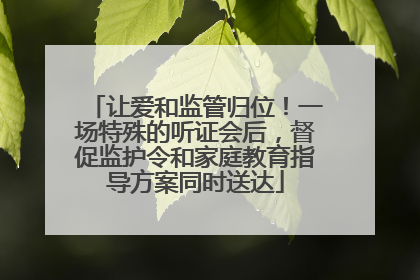 让爱和监管归位！一场特殊的听证会后，督促监护令和家庭教育指导方案同时送达