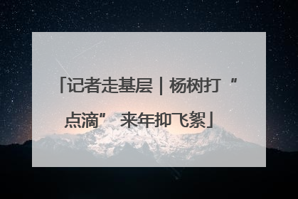 记者走基层｜杨树打“点滴” 来年抑飞絮