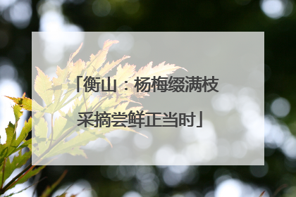 衡山：杨梅缀满枝 采摘尝鲜正当时