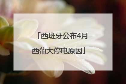西班牙公布4月西葡大停电原因
