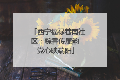西宁福禄巷南社区：粽香传廉韵 党心映端阳