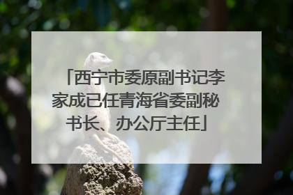 西宁市委原副书记李家成已任青海省委副秘书长、办公厅主任