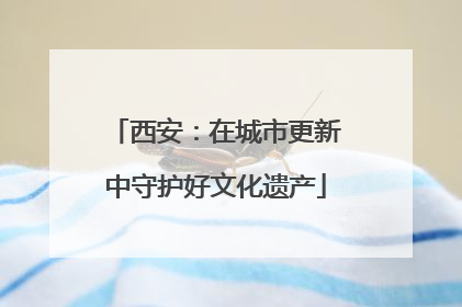 西安：在城市更新中守护好文化遗产