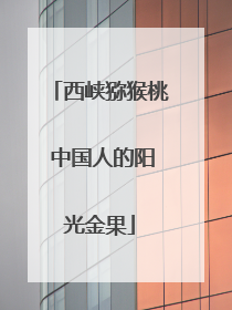西峡猕猴桃 中国人的阳光金果