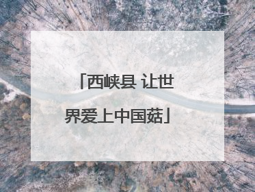 西峡县 让世界爱上中国菇