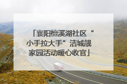 襄阳檀溪湖社区“小手拉大手”洁城靓家园活动暖心收官