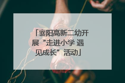 襄阳高新二幼开展“走进小学 遇见成长”活动