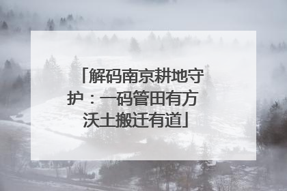 解码南京耕地守护：一码管田有方 沃土搬迁有道